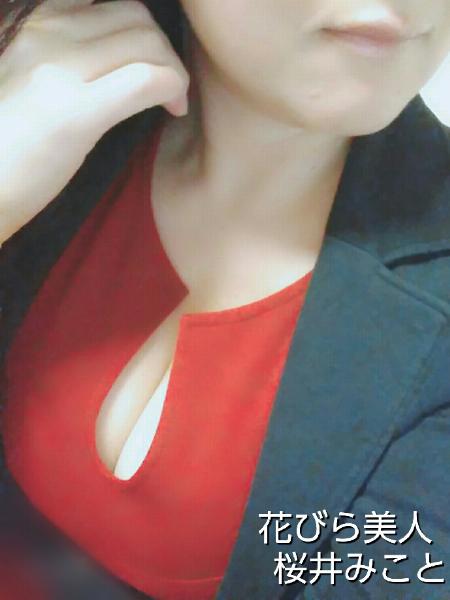 桜井 みこと
