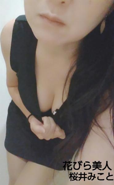 桜井 みこと