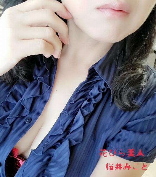 桜井 みこと