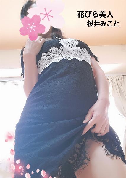 桜井 みこと