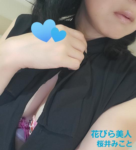 桜井 みこと