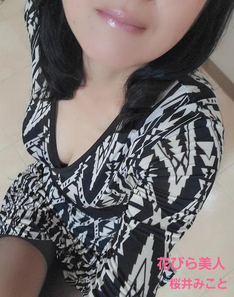 桜井 みこと