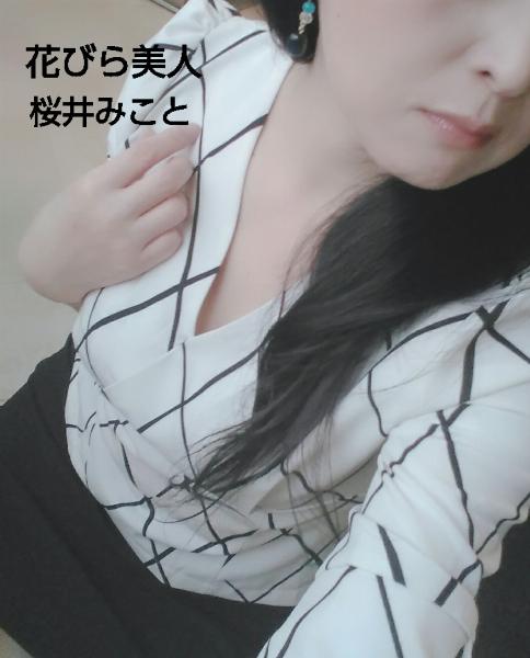 桜井 みこと