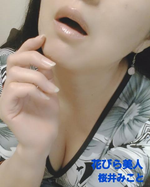桜井 みこと