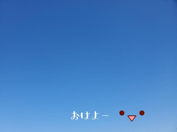 桜井 みこと